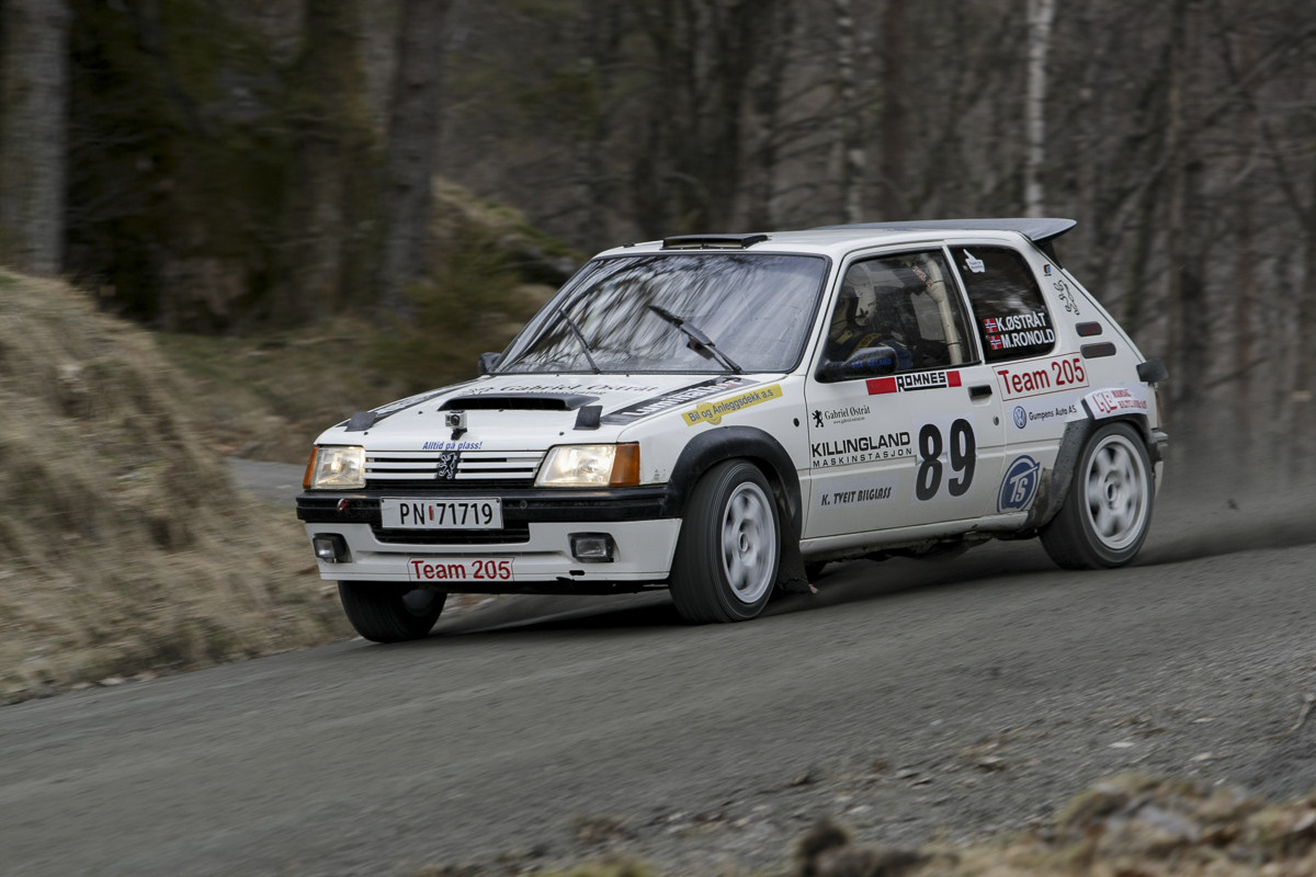 Bilde av 205 GTI